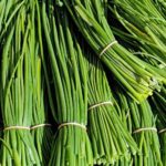 Ciboulette - Civette