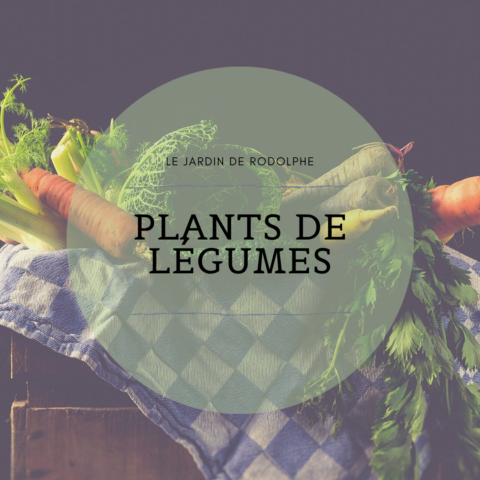 Légumes