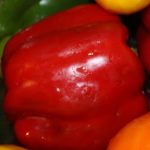 Graines Poivrons Verts/Rouges