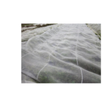 VOILE DE PROTECTION 30gm2