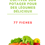 Fiches légumes