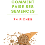 Comment faire ses graines et semences au potager?