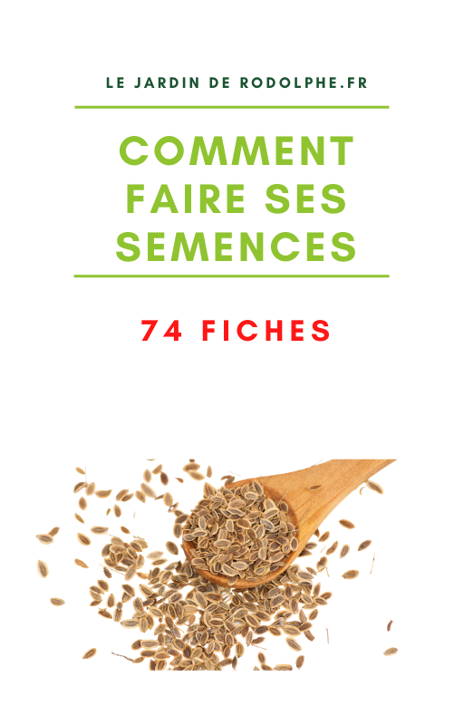 Produire ses semences potagères