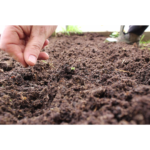 Calculateur Plants & Semis