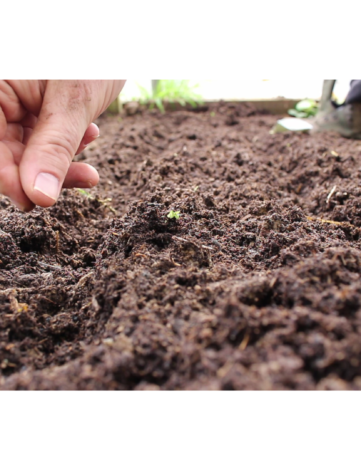 Calculateur Plants & Semis