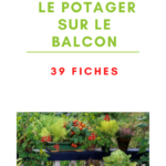 Démarrer un potager en balcon n'a jamais été aussi facile