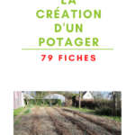 Guide de la création d'un potager