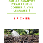 Quelle quantité d'eau faut-il donner à vos légumes ?