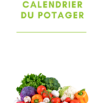 Calendrier du potager
