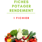 Fiches potager rendement