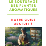 Guide Gratuit de Bouturage pour Plantes Aromatiques