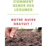 Maximisez la productivité de votre potager avec nos astuces pour des semis efficaces. Apprenez comment obtenir une récolte généreuse de légumes.