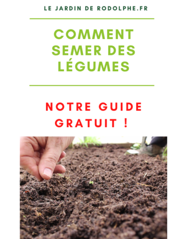 Maximisez la productivité de votre potager avec nos astuces pour des semis efficaces. Apprenez comment obtenir une récolte généreuse de légumes.