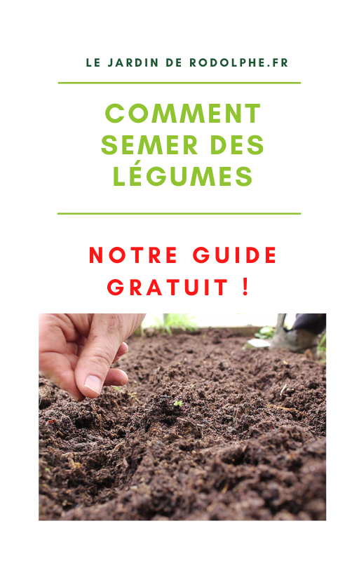 Maximisez la productivité de votre potager avec nos astuces pour des semis efficaces. Apprenez comment obtenir une récolte généreuse de légumes.