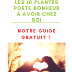 10 plantes porte-bonheur pour sa maison
